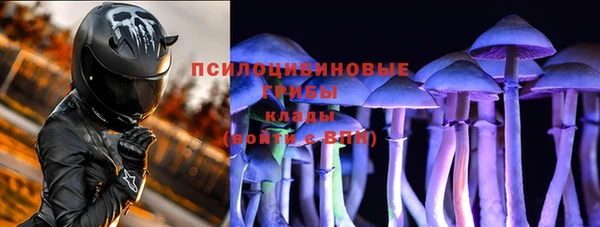 стафф Верея